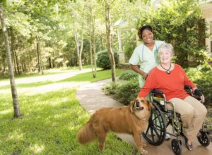 cost of in home senior care new jersey