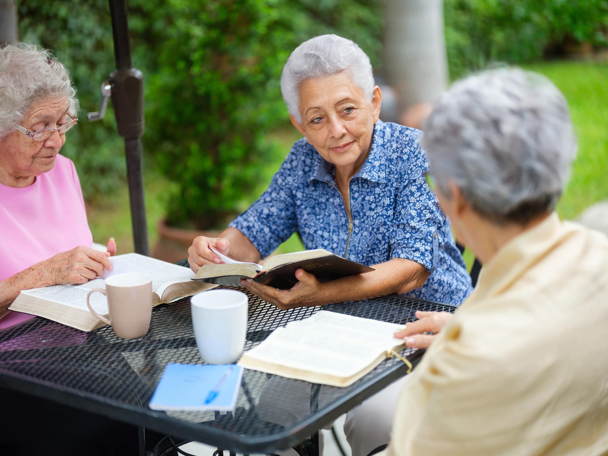 Lovely elderly women reading books and talking