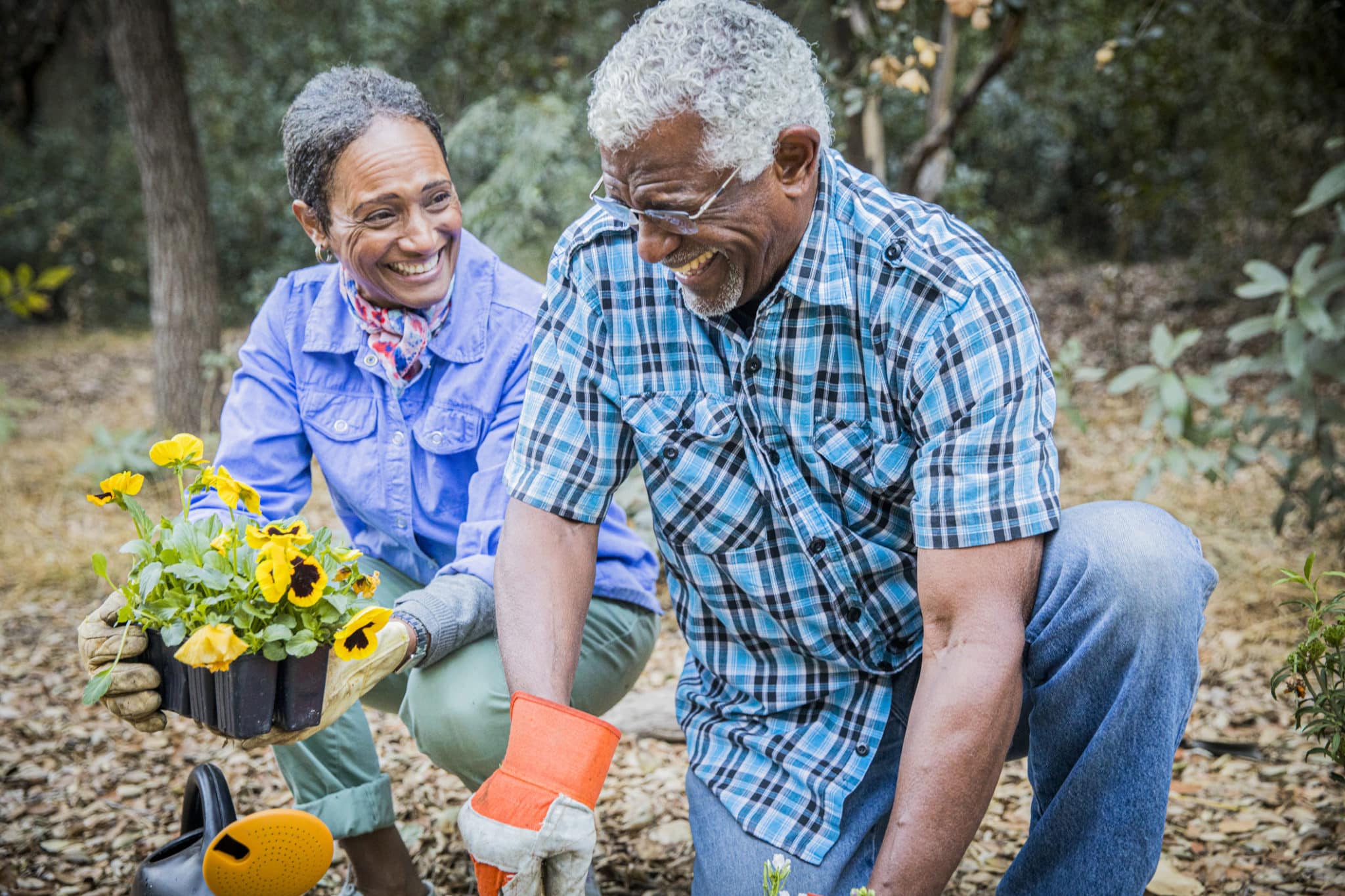 Senior African American Couple Planting in Garden