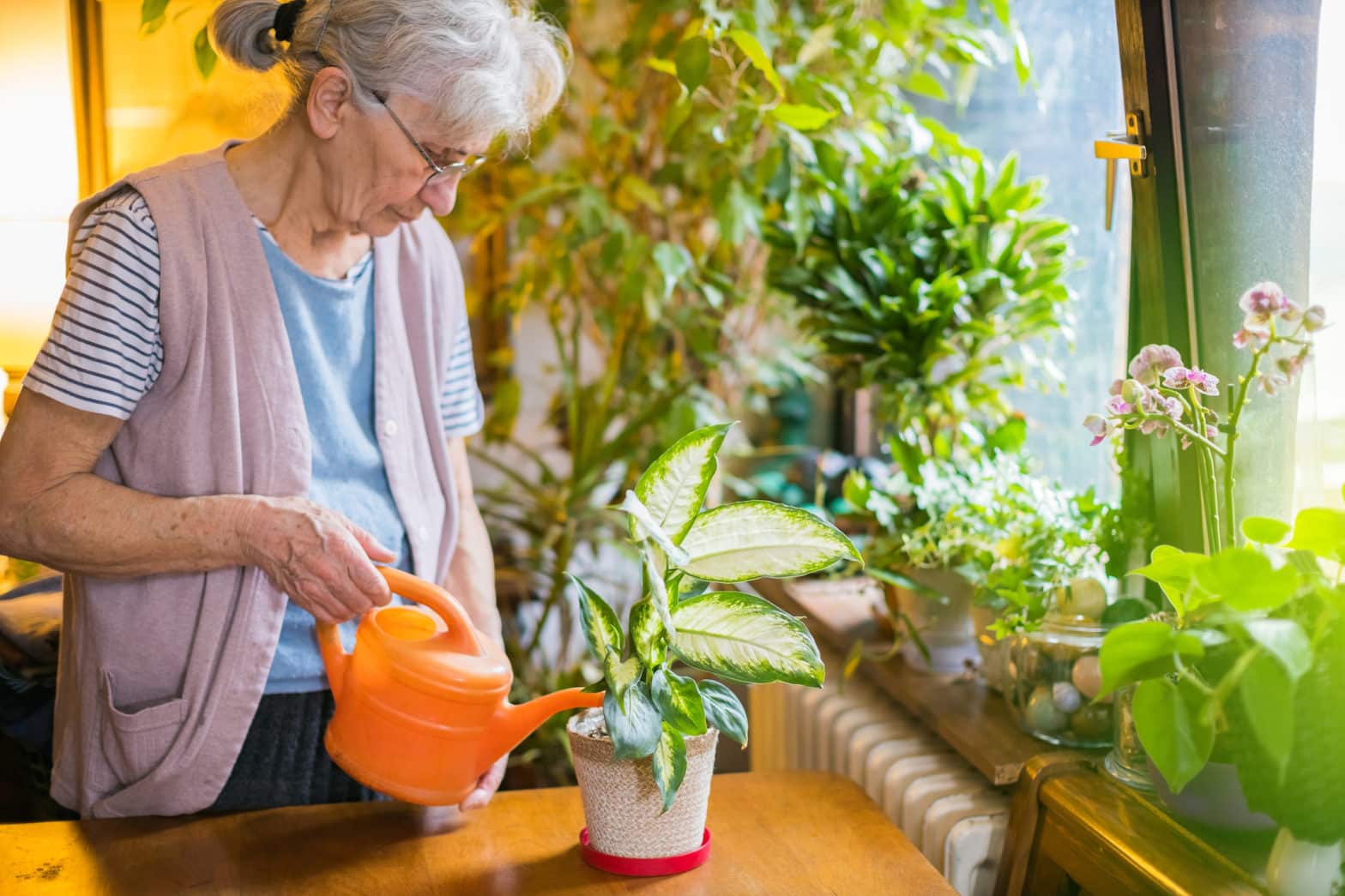 old woman watering flowers