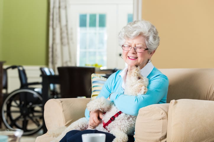 Senior woman hold therapy dog at home