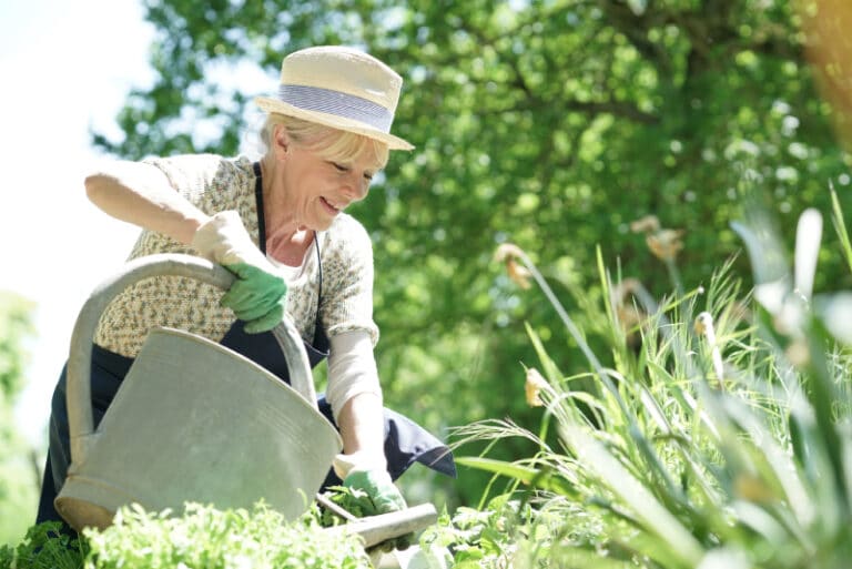 Gardening For Seniors
